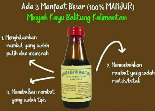 Review Manfaat Minyak Balitung Asli Kalimantan : Harga, Cara Pakai & Perbedaan Asli dan Palsu